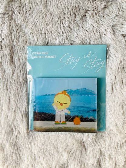 (SALE) Stay in STAY' in Jeju Exhibition - SKZOO Acrylic Magnet